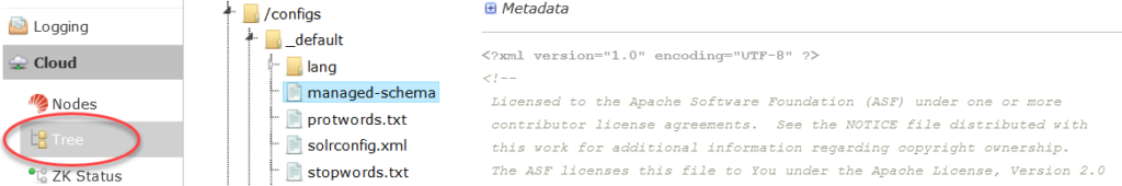 SearchStax Solr Schema View